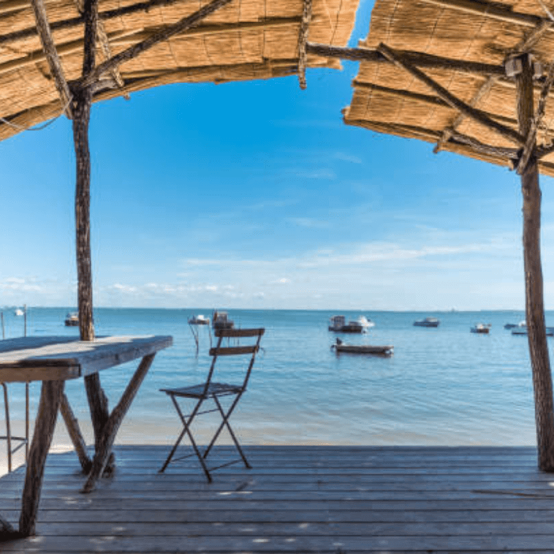 Arcachon, la ruée vers l'art